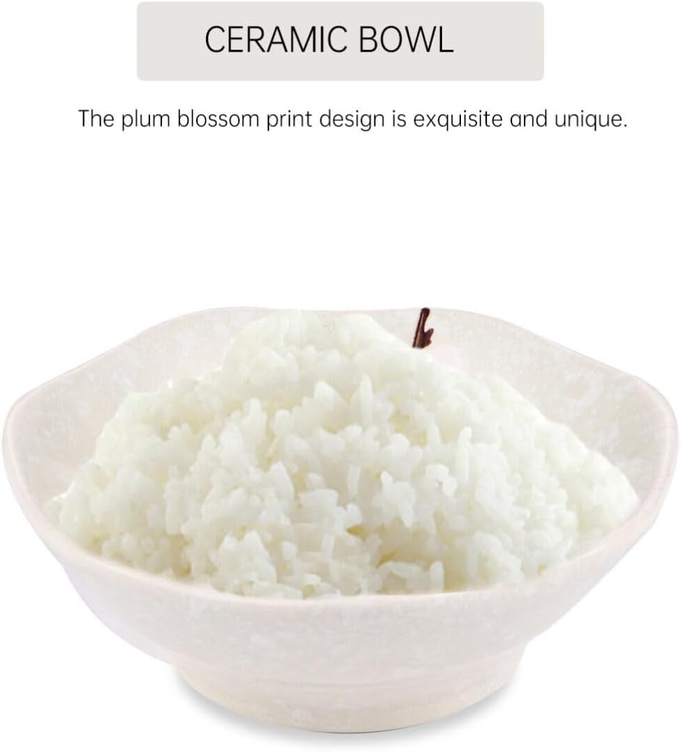 Japanese Style Ceramic Dinnerware Set for One Bowl Plate Cup Spoon Chopsticks