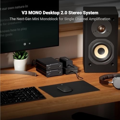 V3 Mono 2-Pack HiFi Power Amplifier 240W Class-D RCA XLR Balanced 48V
