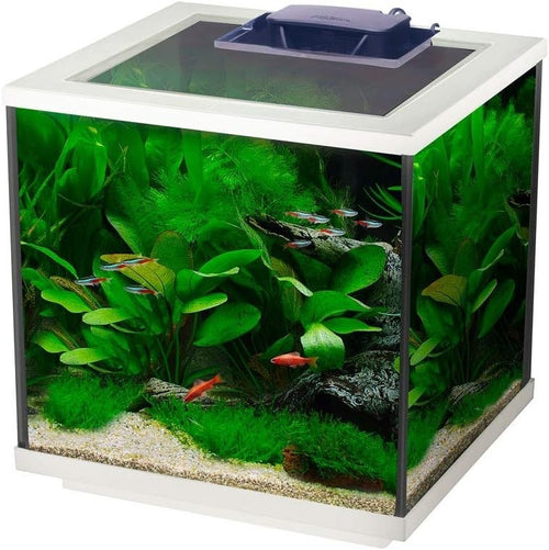 28L Cube Glass Fish Tank with LED Light & Easy Care Filter – Aquarium