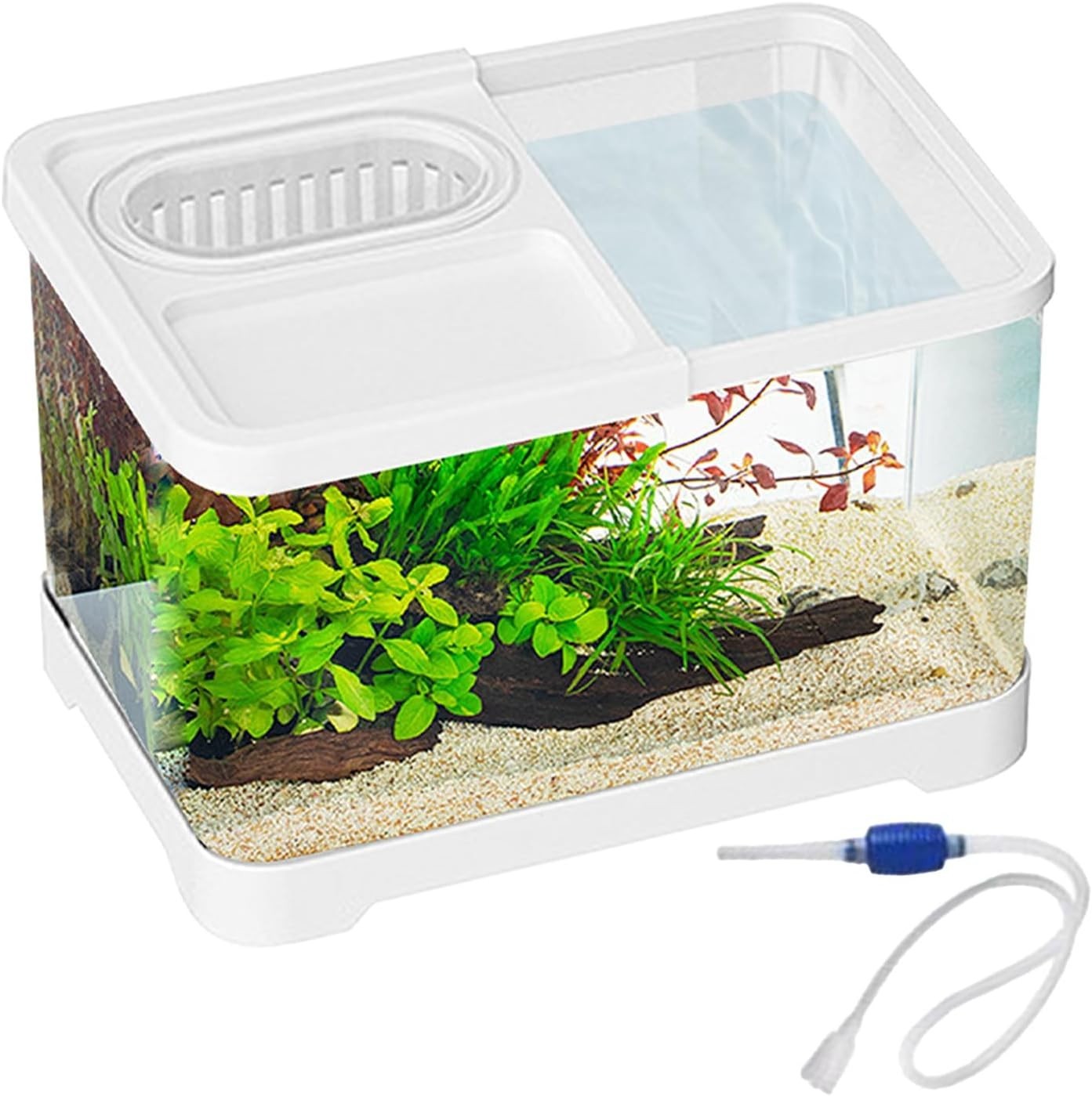 Small Betta Fish Tank with Hydroponic Basket Desktop Aquarium Kit