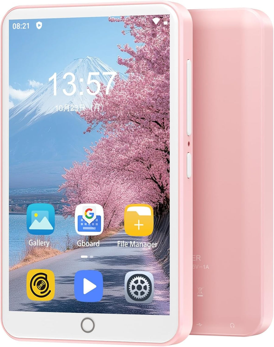 80GB MP3 Player Bluetooth WiFi 4" IPS Touchscreen FM Pink
