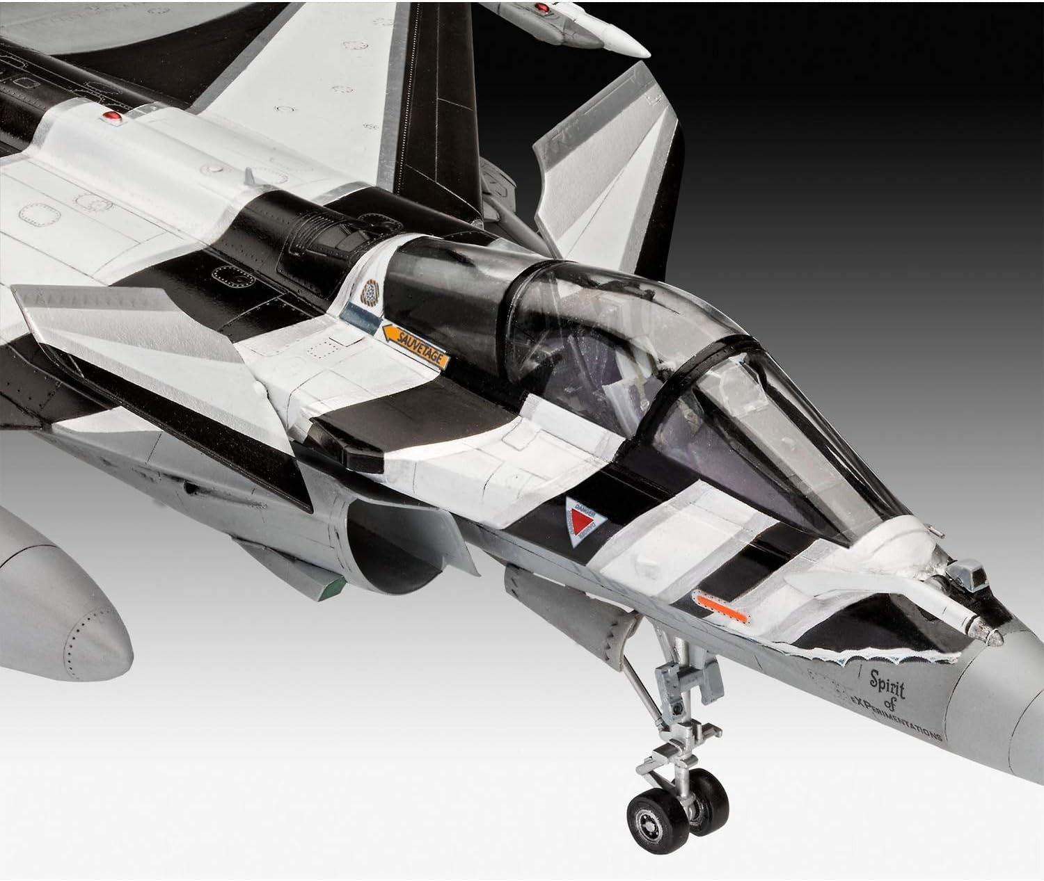Plastic Model Kit Dassault Rafale C 1:48 Scale Military Jet Aircraft DIY Set
