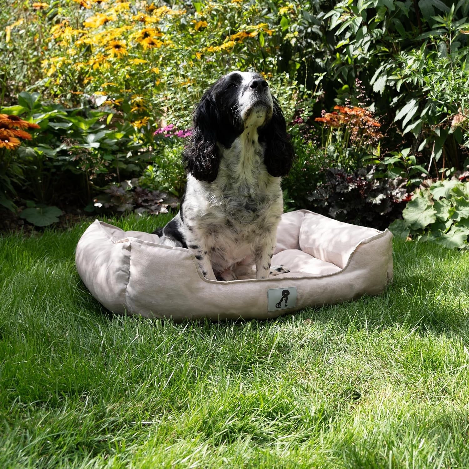 Medium Waterproof Dog Bed 75x58cm Washable Basket Cream