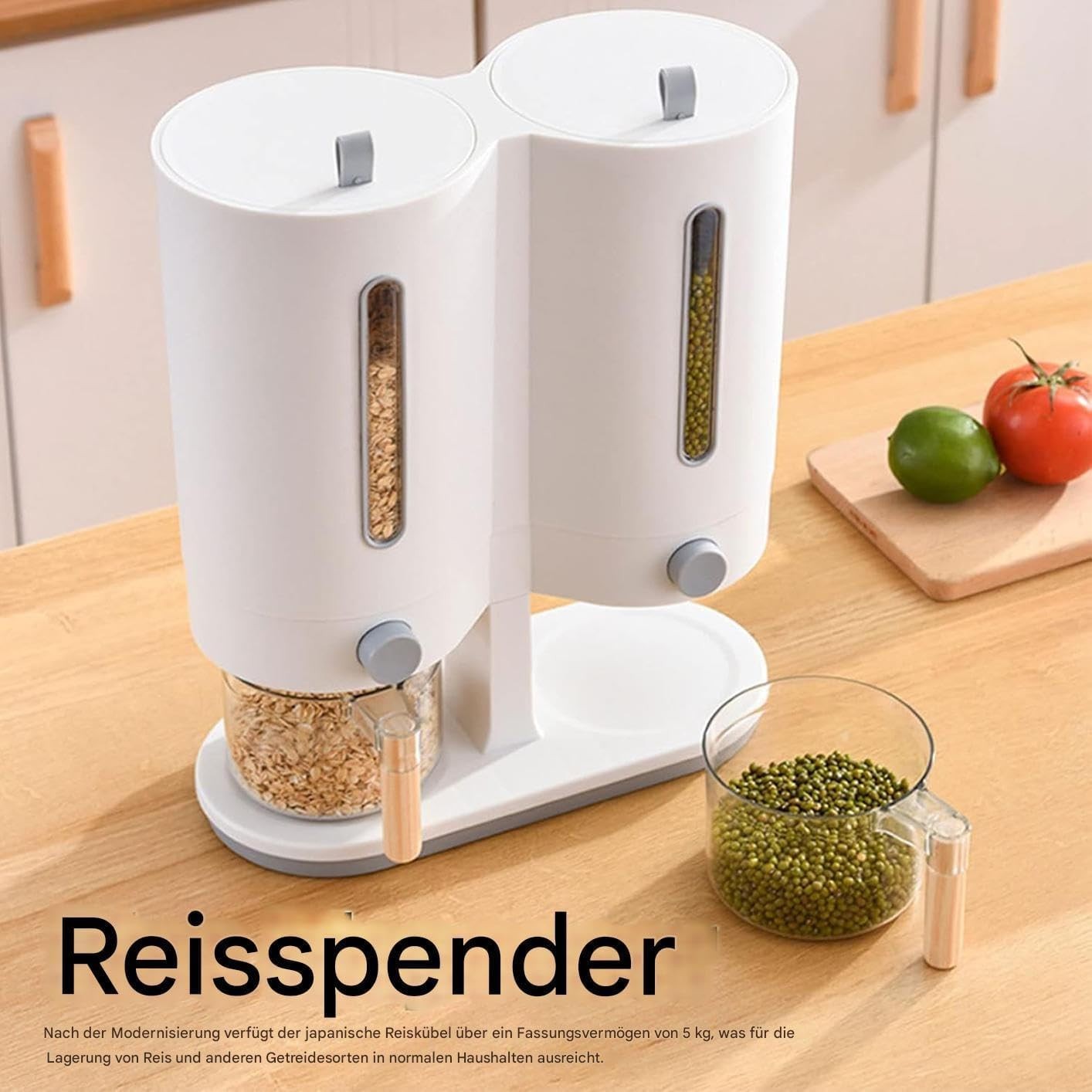 5KG Dual Chamber Rice Dispenser Airtight ABS Bin