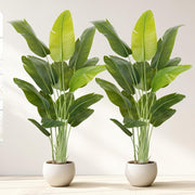 Set of 2 Bird of Paradise Plants 200cm Lifelike Indoor Potted Tropical Banana