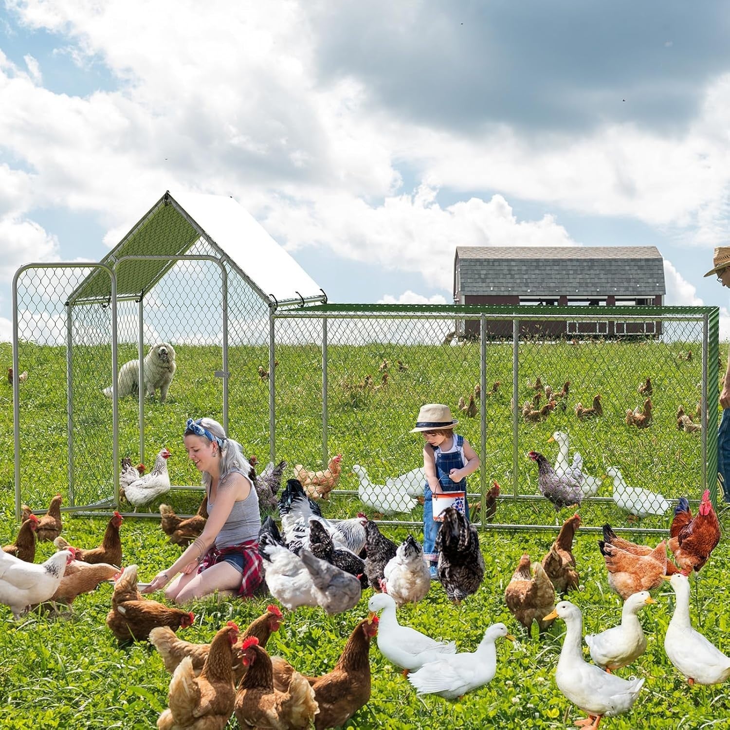 3m Walk In Chicken Run Metal Coop Waterproof UV Cover
