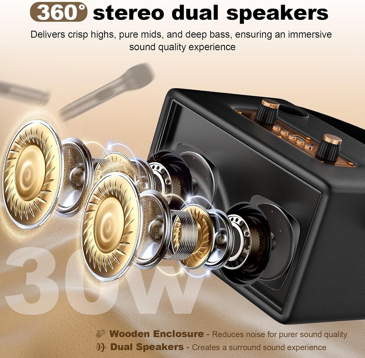 Portable 30W Bluetooth Karaoke Machine 2 Wireless Mics TF USB