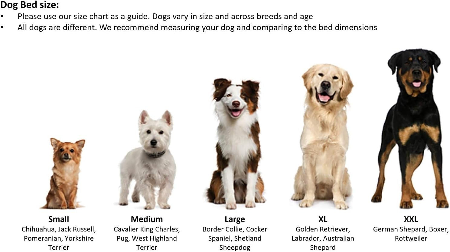 Small Luxury Oval Dog Bed Washable Reversible Cushion