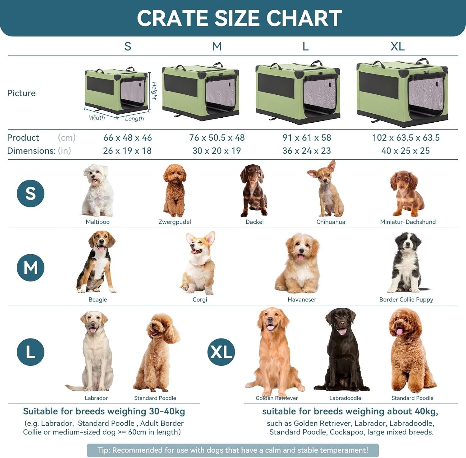 Collapsible Soft Dog Crate Portable Kennel Travel Cage for Medium Large Dogs