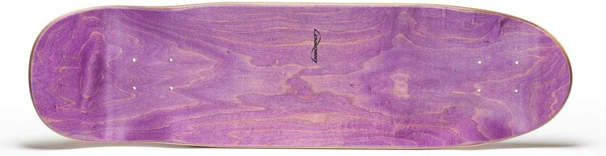 Coyote Longboard Deck – 30.75" x 21.3cm Maple, 65mm Wheels, Griptape