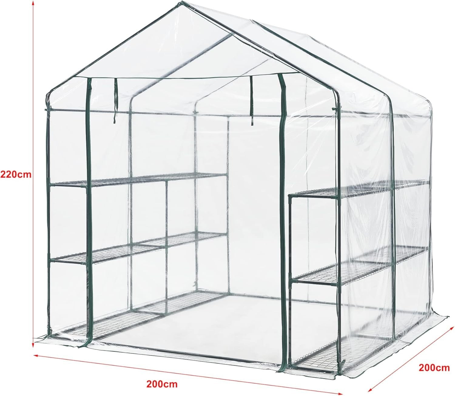 Large Walk-In Greenhouse with Shelves | Heavy Duty PVC Cover | Steel Frame