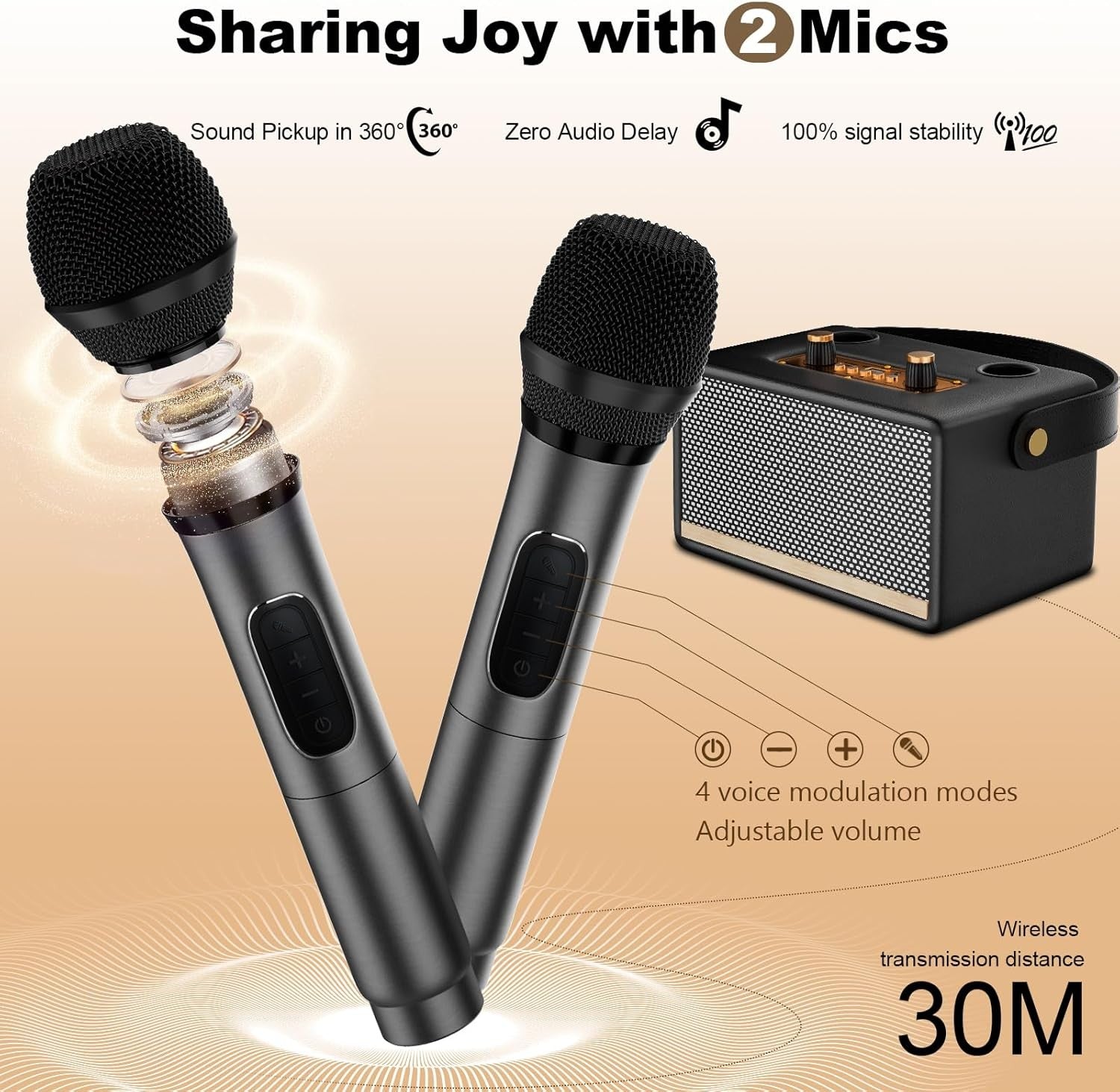 Portable 30W Bluetooth Karaoke Machine 2 Wireless Mics TF USB