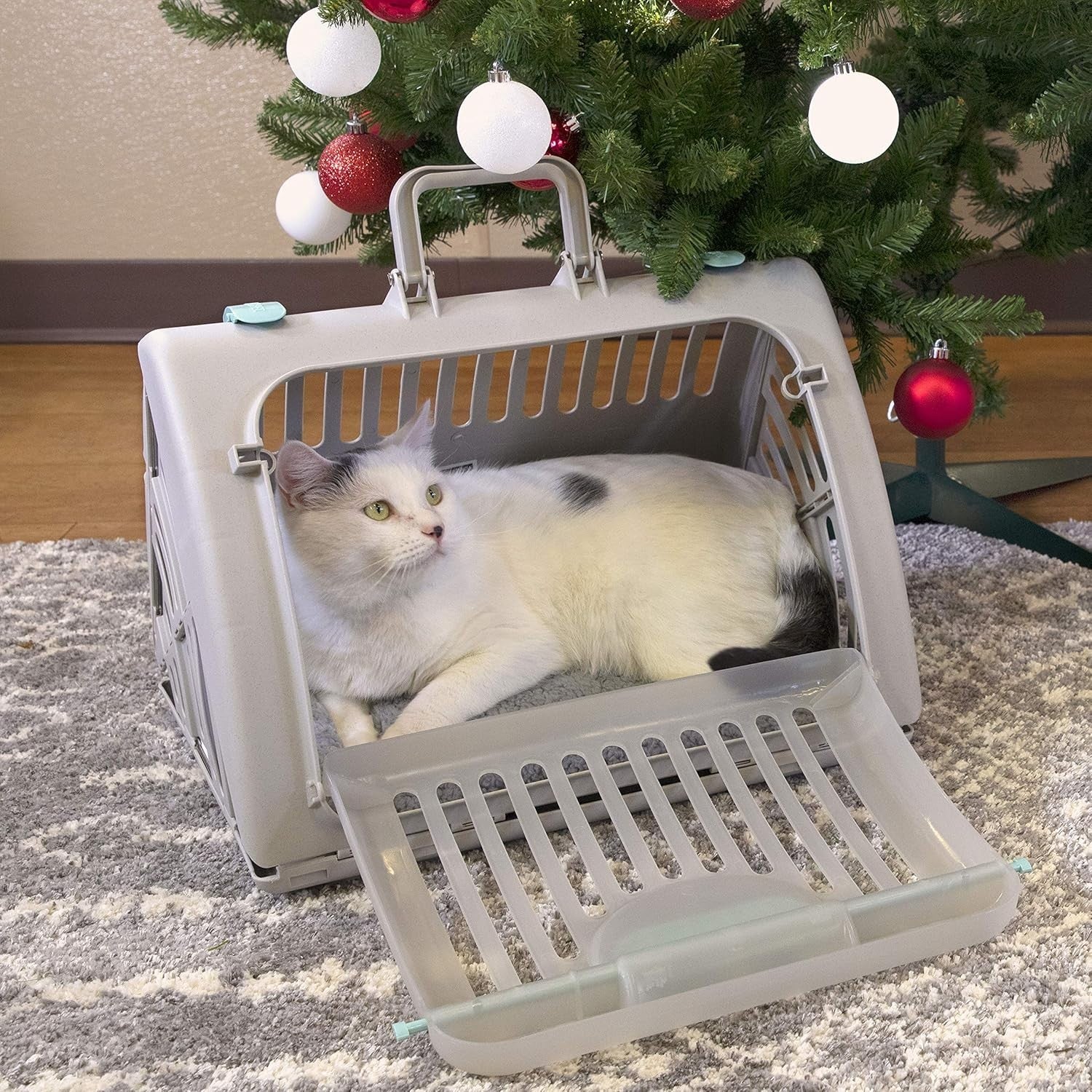Large Foldable Travel Cat Carrier with Locking Zipper – Easy Clean, Sturdy