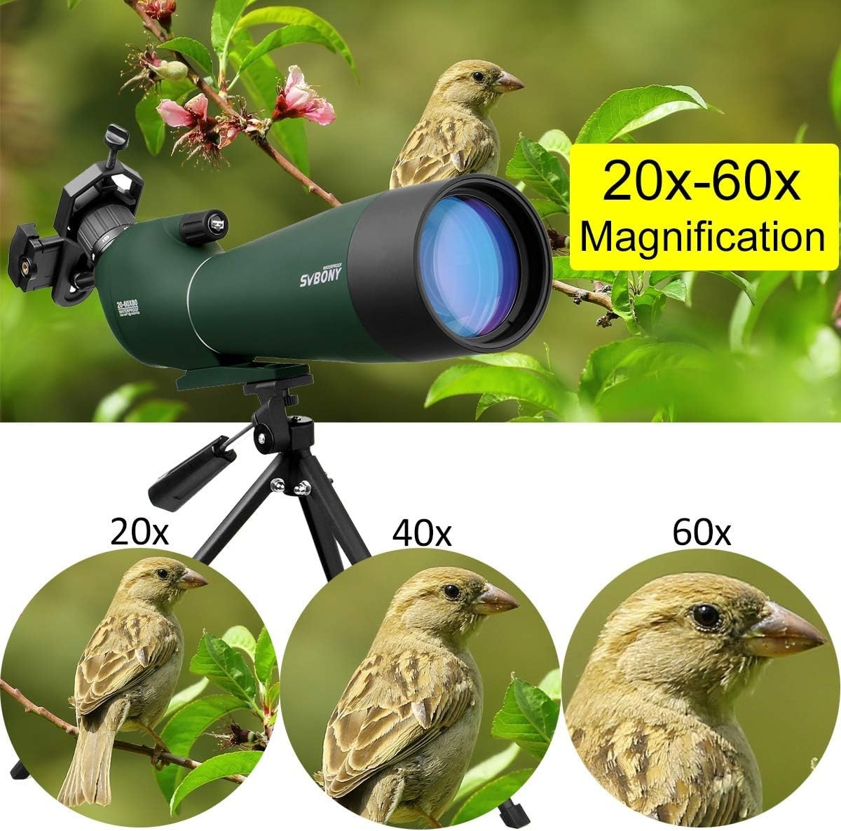 20-60x60mm Spotting Scope HD BAK4 Prism Waterproof Tripod Phone Adapter