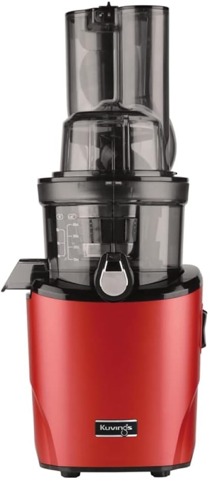 Cold Press Slow Juicer Auto Cutting Wide Dual Feed Chute BPA Free