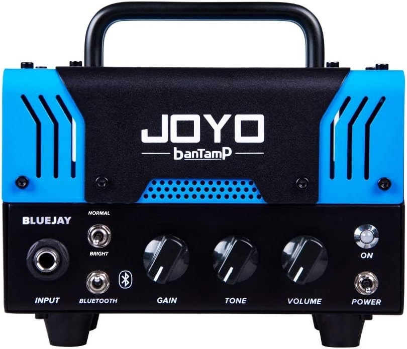 20W Mini Guitar Amp Head Hybrid Tube 2-Channel Bluetooth Blues & Jazz