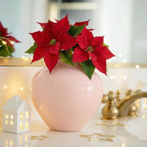 Small Pink Ceramic Vase 13cm Glossy Round Flower Table Centrepiece
