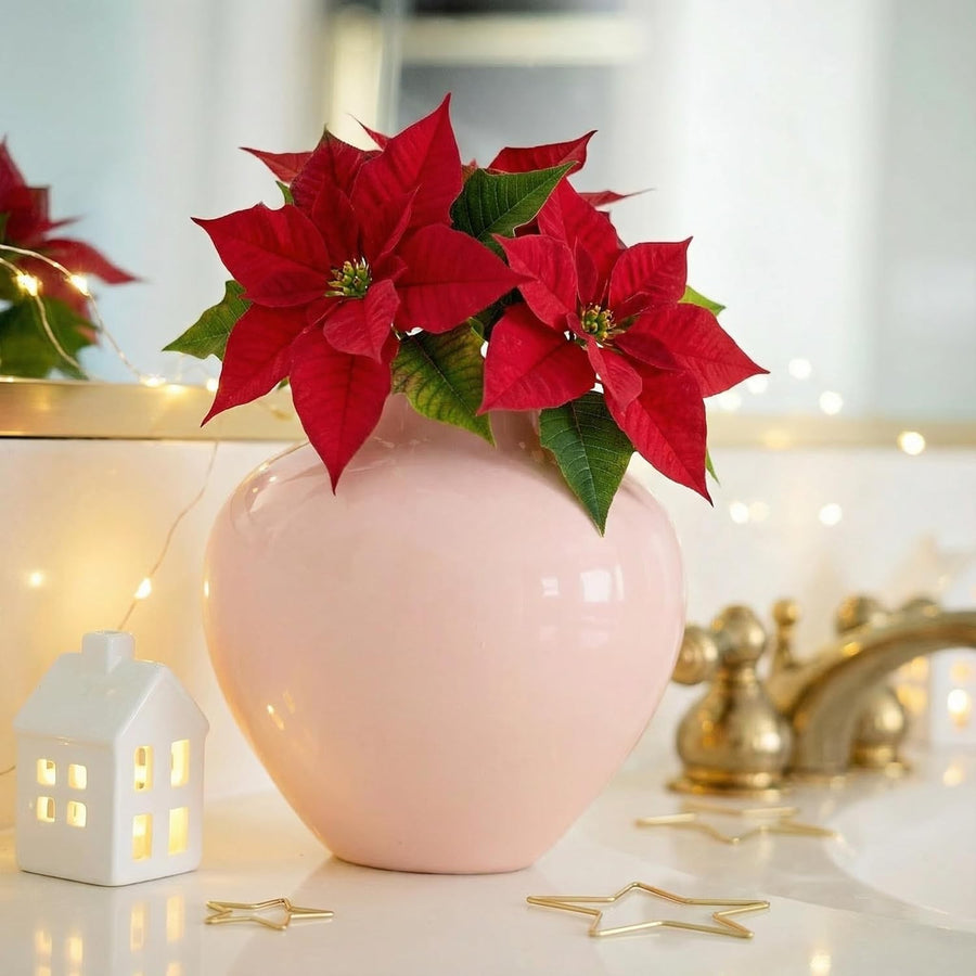 Small Pink Ceramic Vase 13cm Glossy Round Flower Table Centrepiece