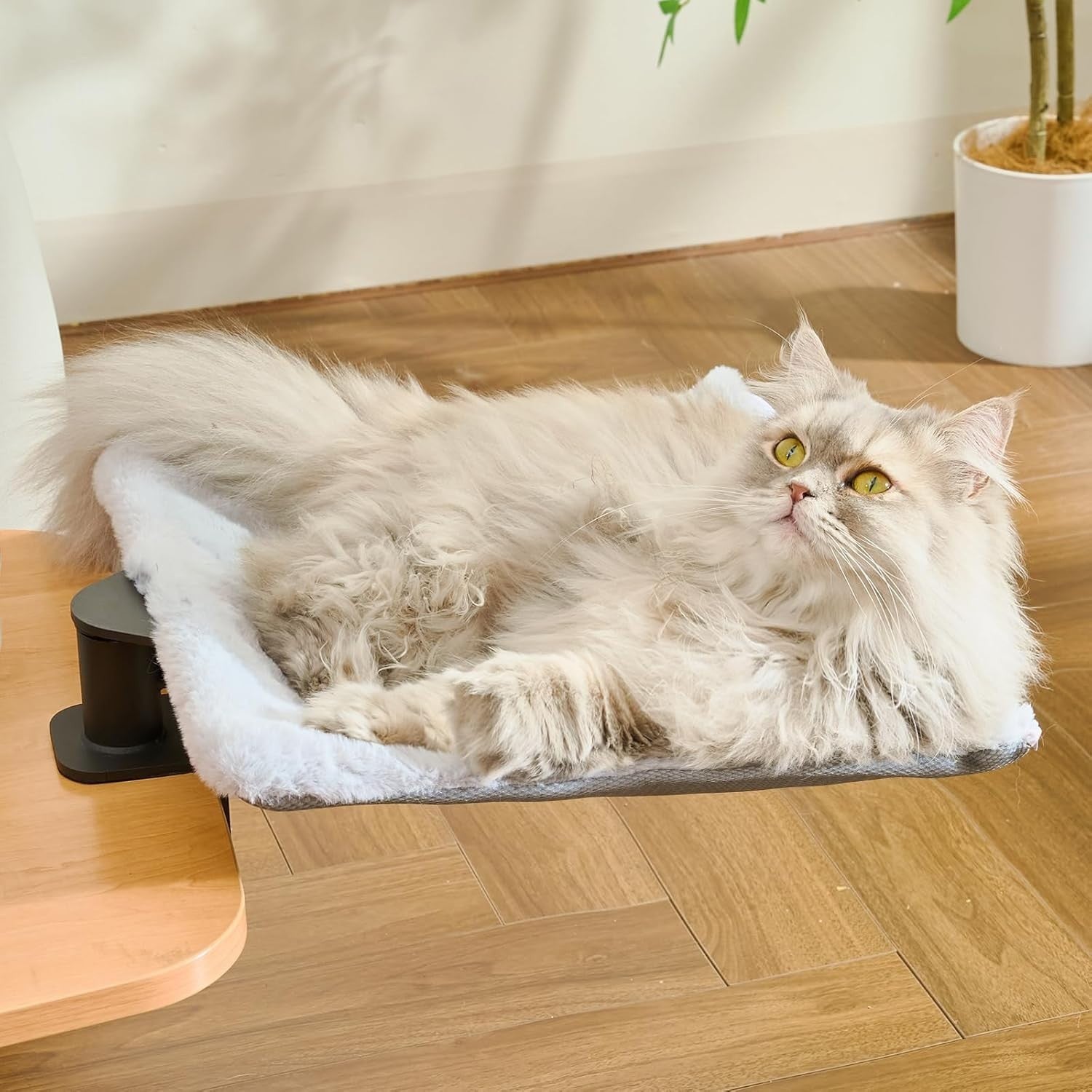 Rotating Desk Cat Bed Square Cat Hammock Clamp On Desktop Perch