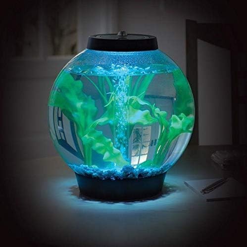 15L Round Aquarium with LED Lighting & Filtration – Modern Desktop Tank