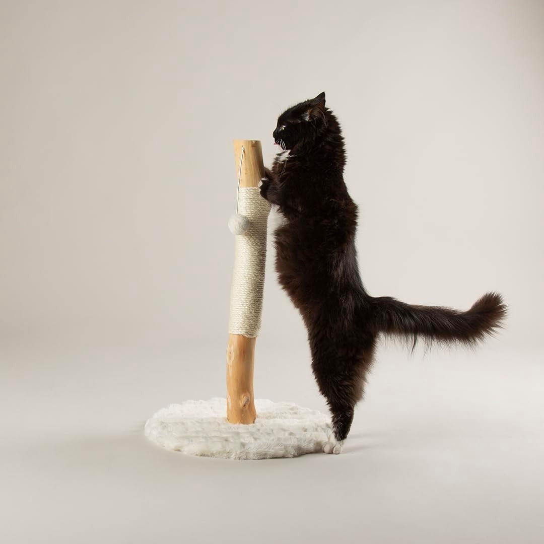 Cat Scratching Post Tree with Natural Wood Sisal Column Plush Base Indoor