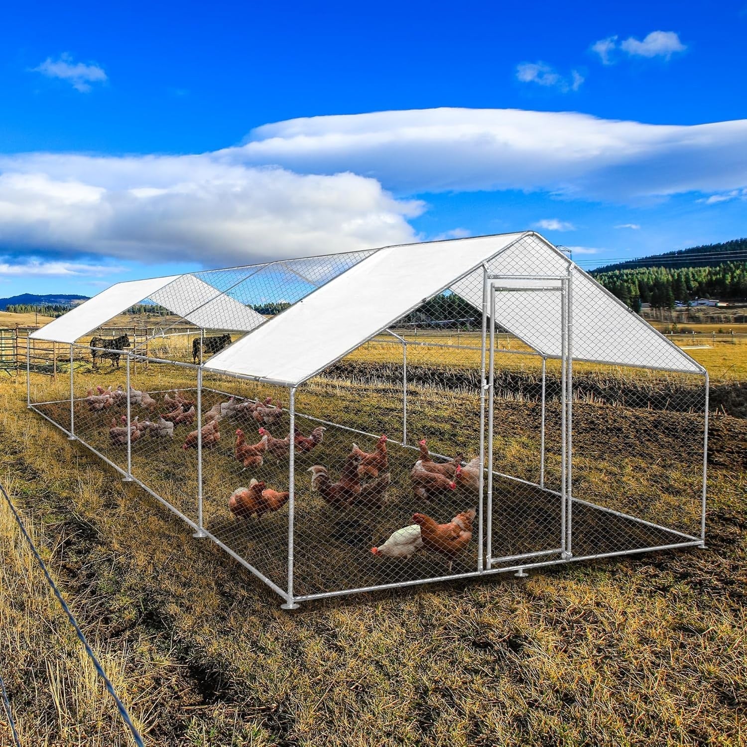 Walk In Chicken Run 8x4x2m Galvanised Steel Coop Pen