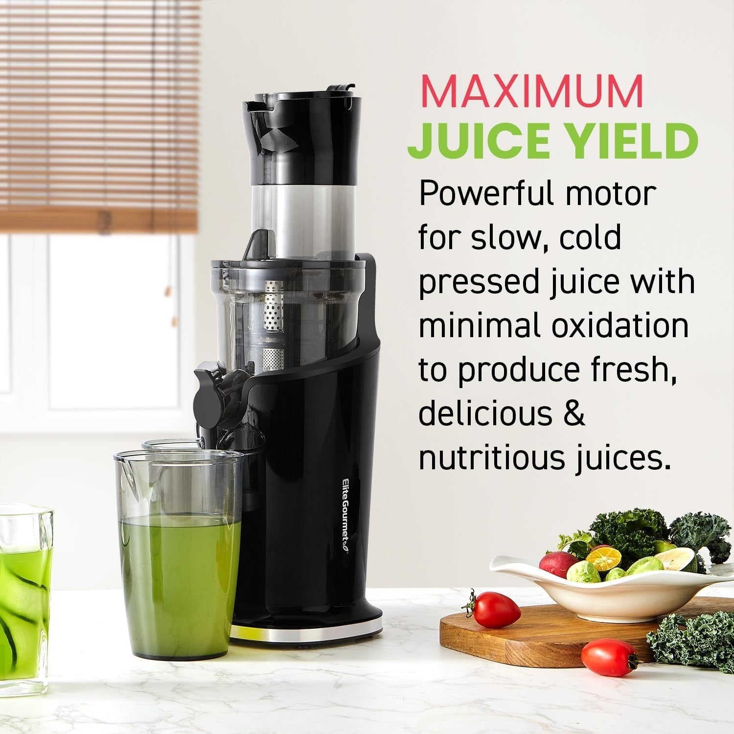 Cold Press Slow Juicer 200W Compact Masticating High Yield BPA Free