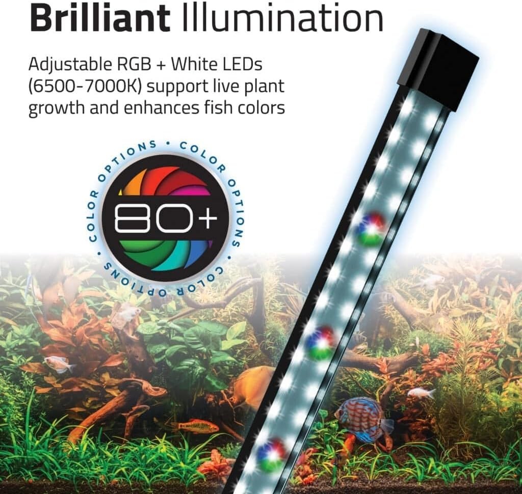 57L Curved Glass Aquarium Kit With LED Light Filter Modern Fish Tank