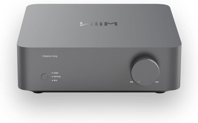 100W Stereo Power Amplifier ESS DAC TPA3255 RCA Optical Coax Inputs