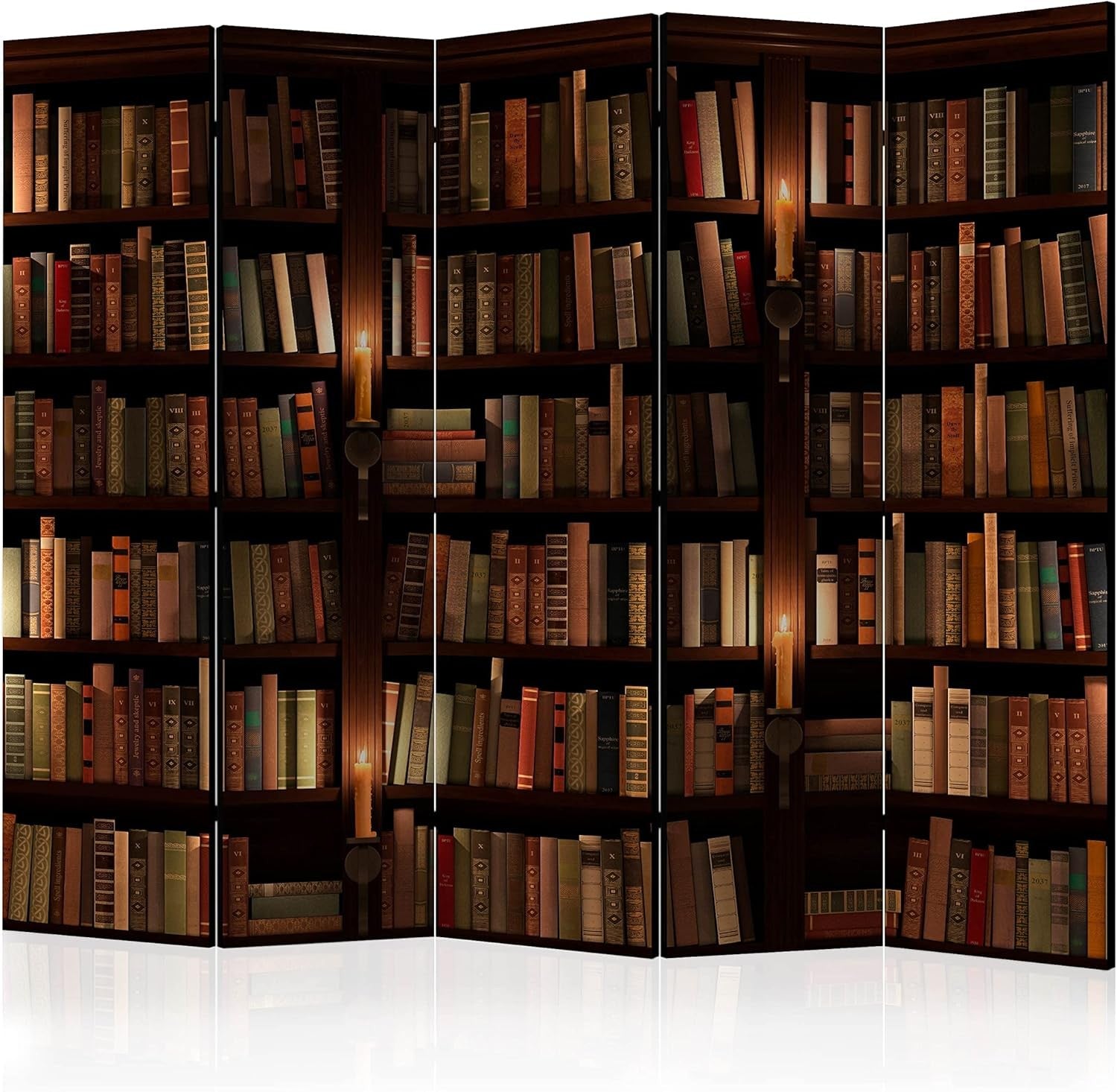 Large Library Print Folding Room Divider – 5 Panel Double-Sided Screen