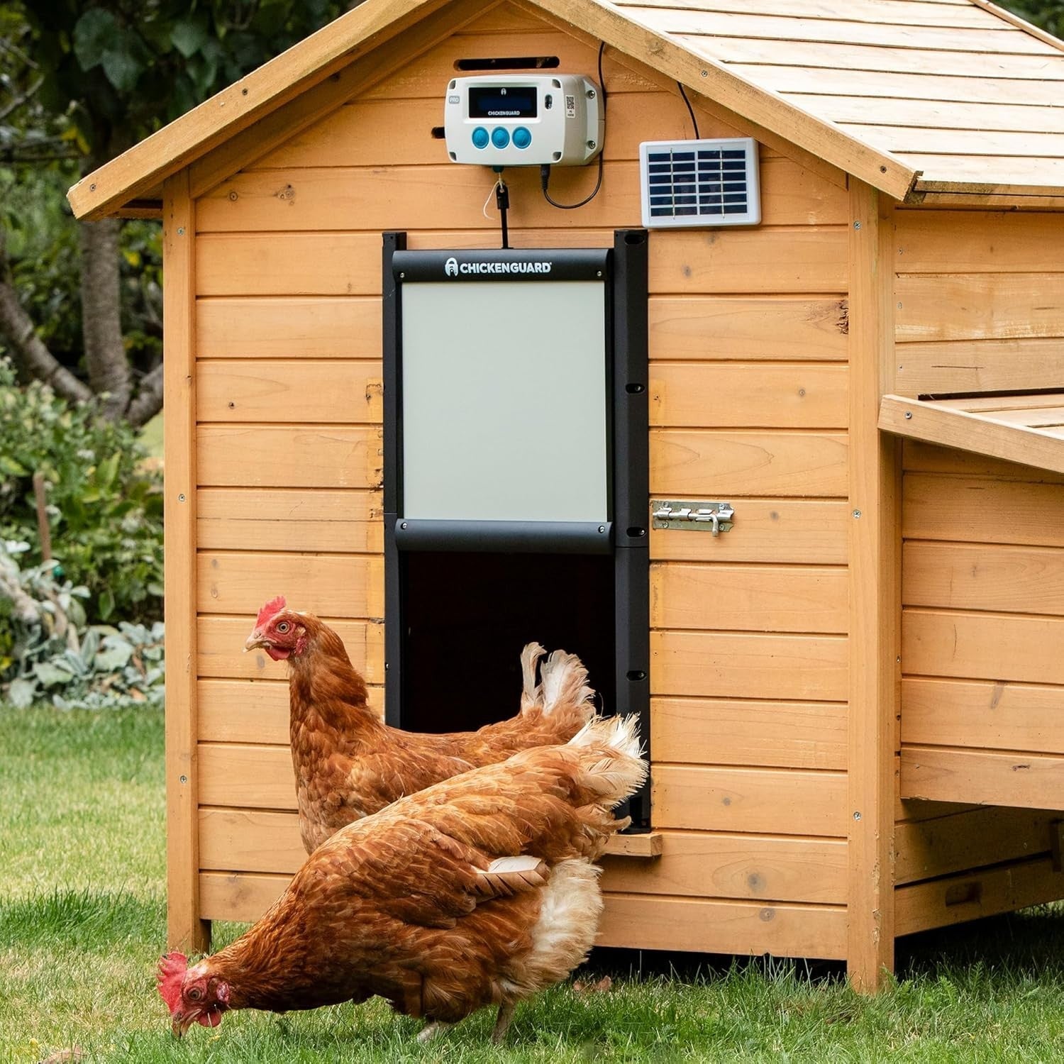 Automatic Chicken Coop Door Opener Solar Timer Light Sensor