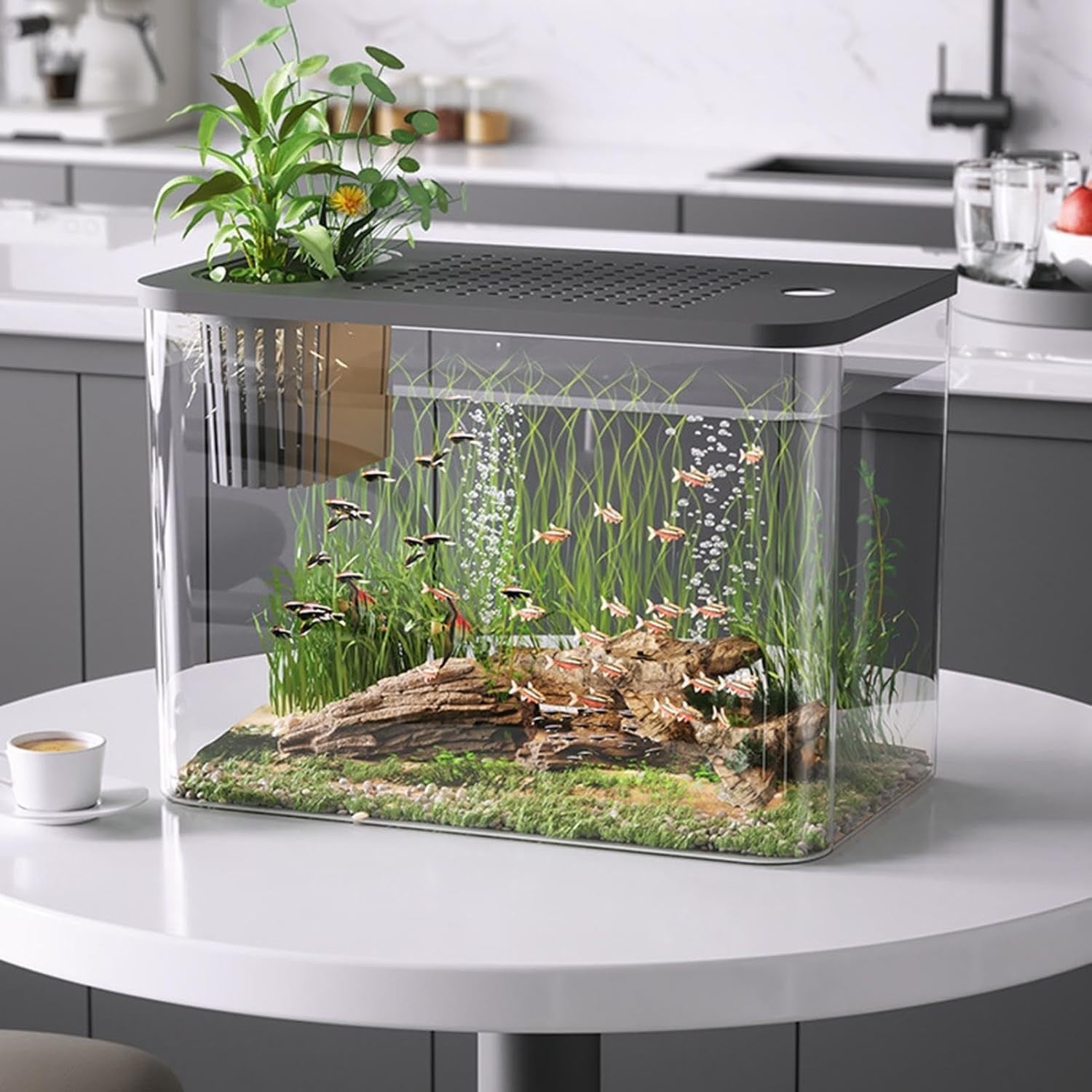 Desktop Betta Aquarium Tank | Small Turtle Fish Tank Kit for Home Office