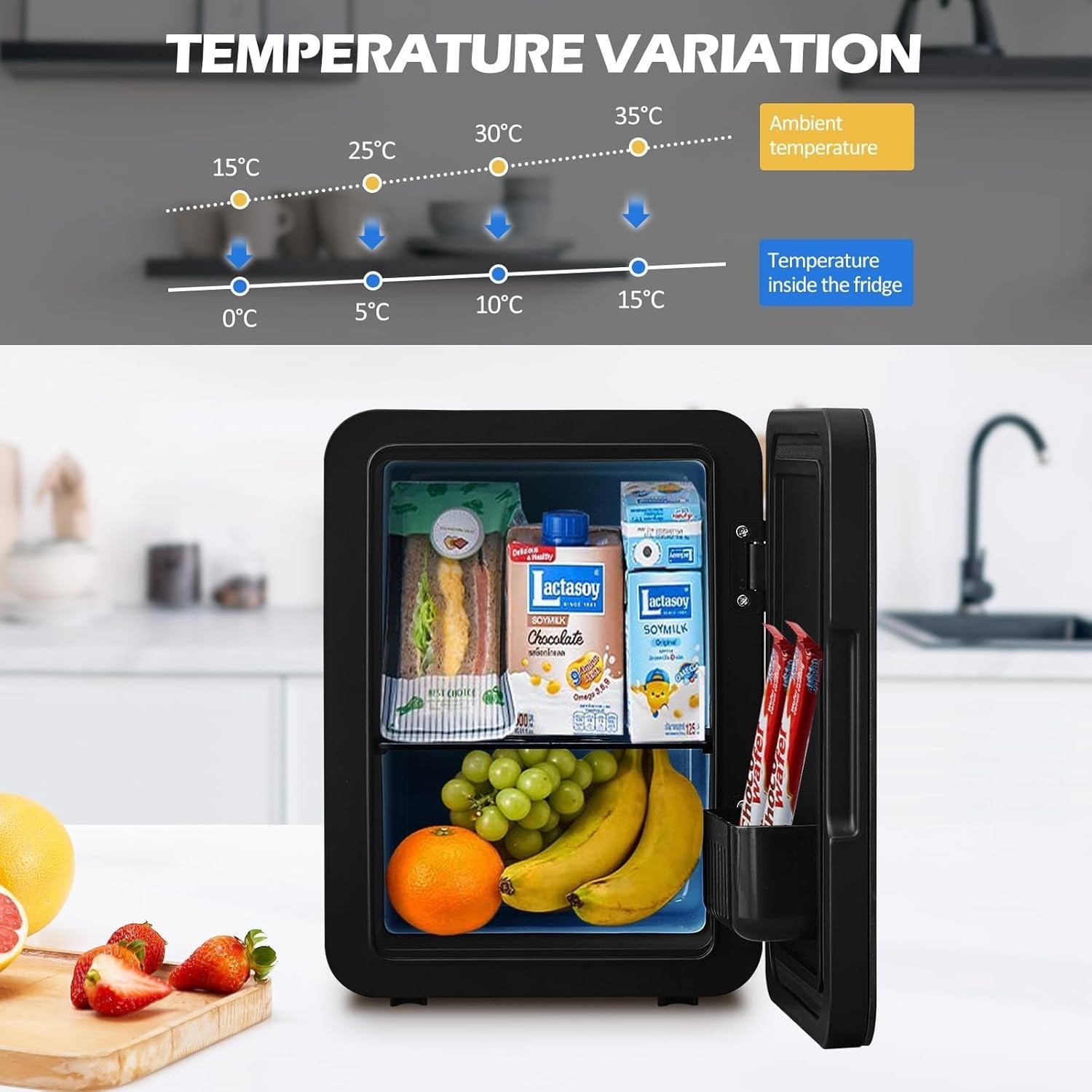 4L Mini Fridge Black AC/DC Cooler Warmer Frost-Free Portable