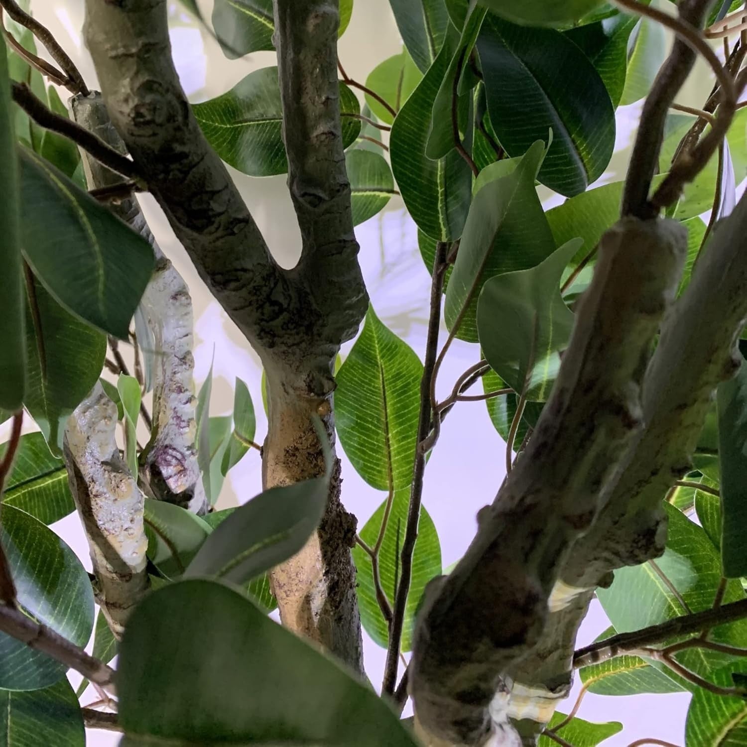 100cm Artificial Bushy Ficus Tree Silver Curve Planter Indoor Home Decoration