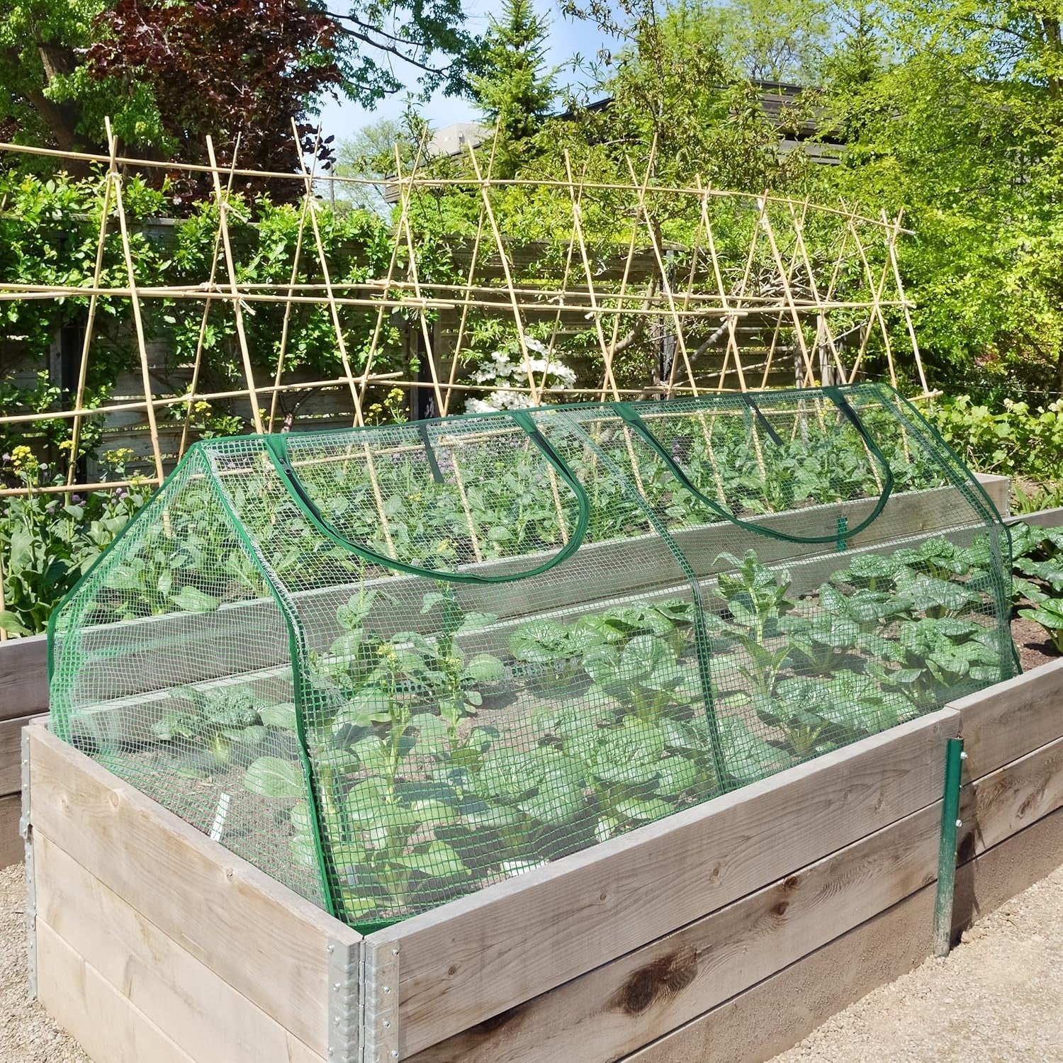 Cold Frame Greenhouse PVC Film 120x60x60cm | Weatherproof Garden Plant Shelter