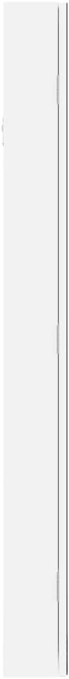 Tall LED Wall Jewelry Cabinet Frameless Mirror Lockable Storage White