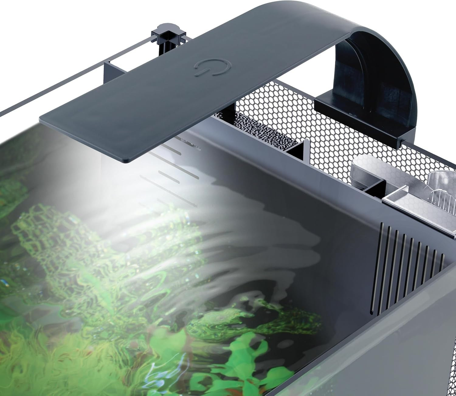 20L Betta Aquarium Kit with Filter, LED Light & Easy Water Change
