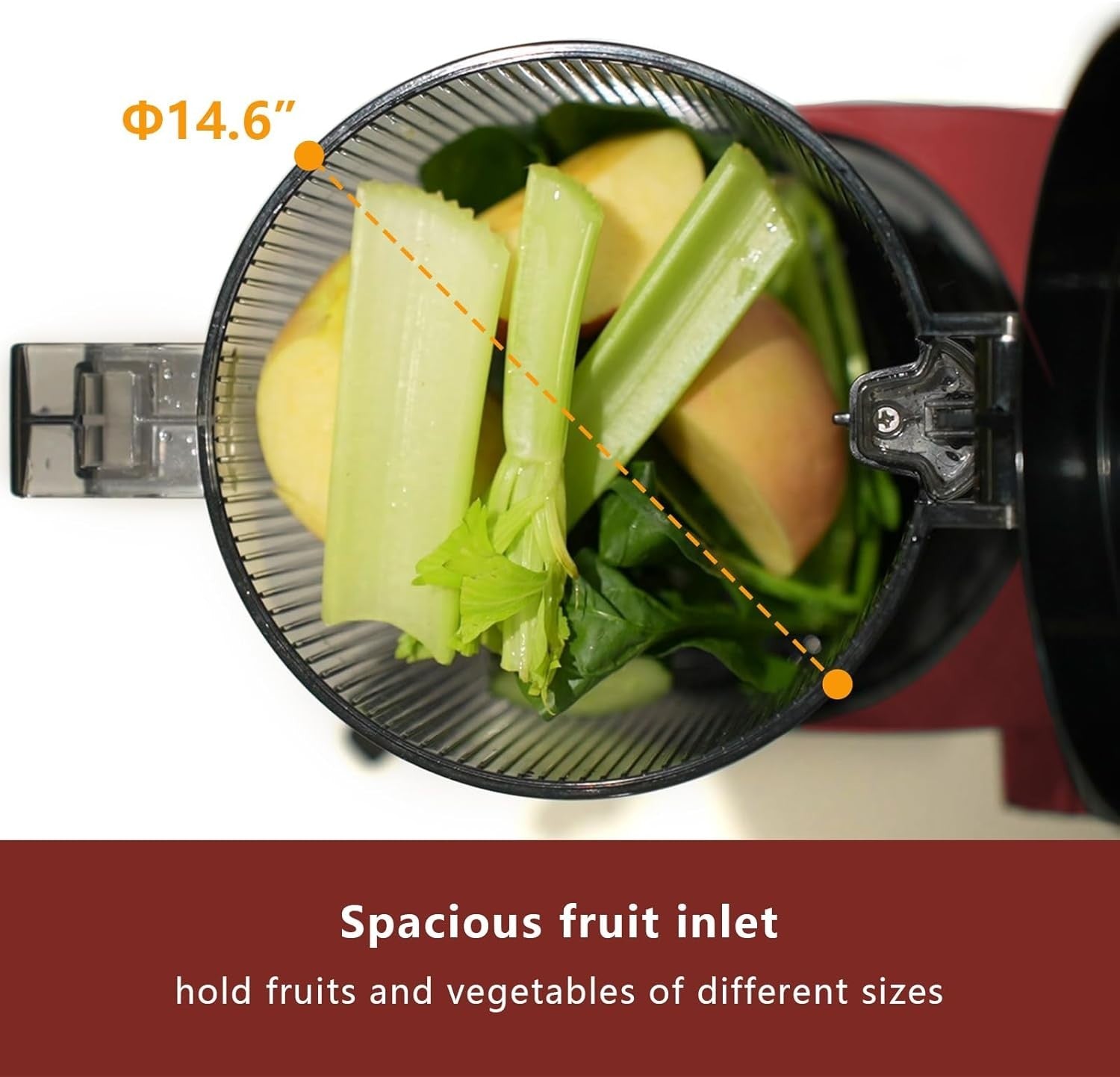 Cold Press Juicer 200W Whole Fruit Masticating High Yield Easy Clean