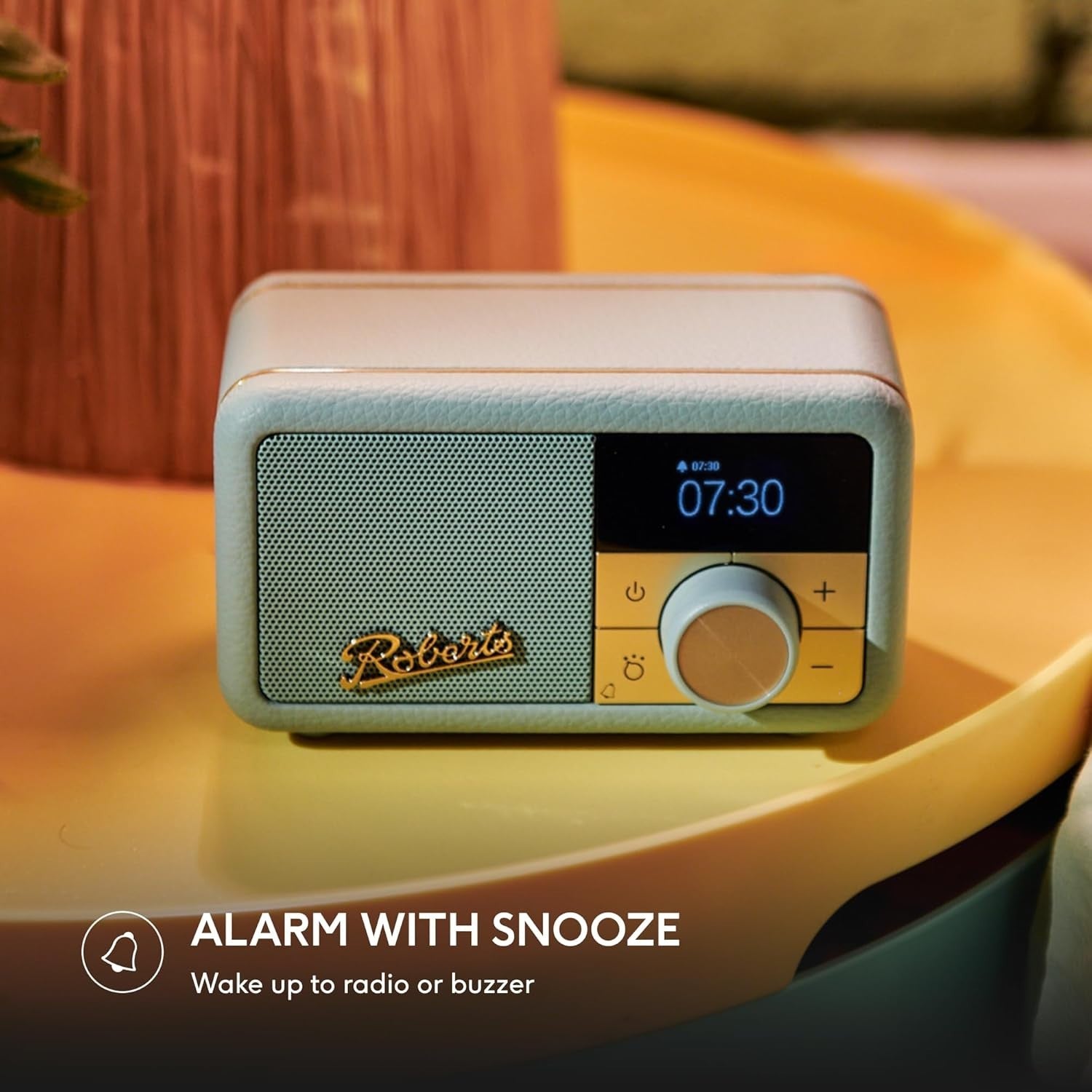 Portable FM DAB/DAB+ Digital Radio Bluetooth Speaker Duck Egg