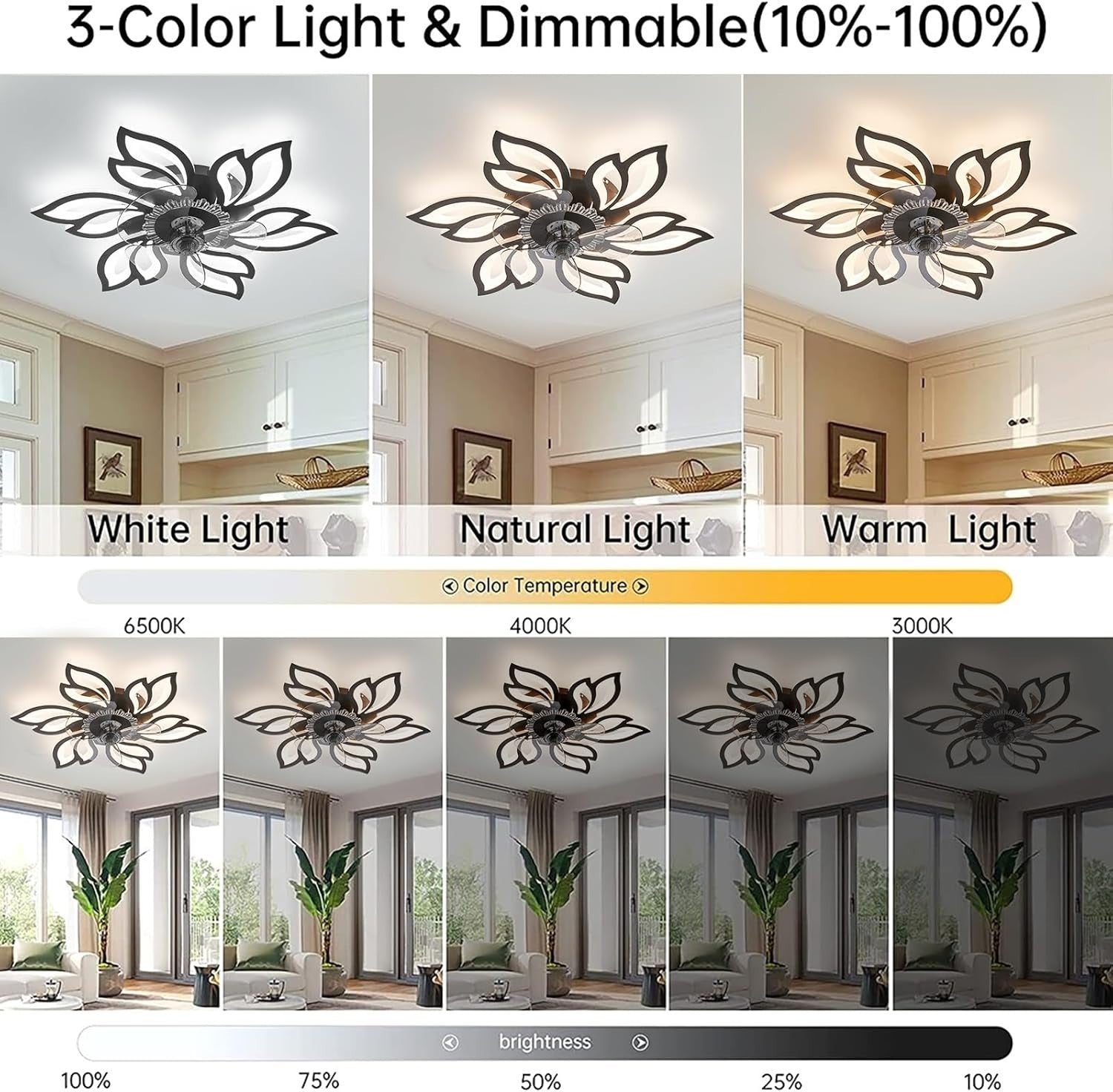 Warmiehomy 63CM Modern Ceiling Fan with Lights, 72W LED, 6-Speed, Remote
