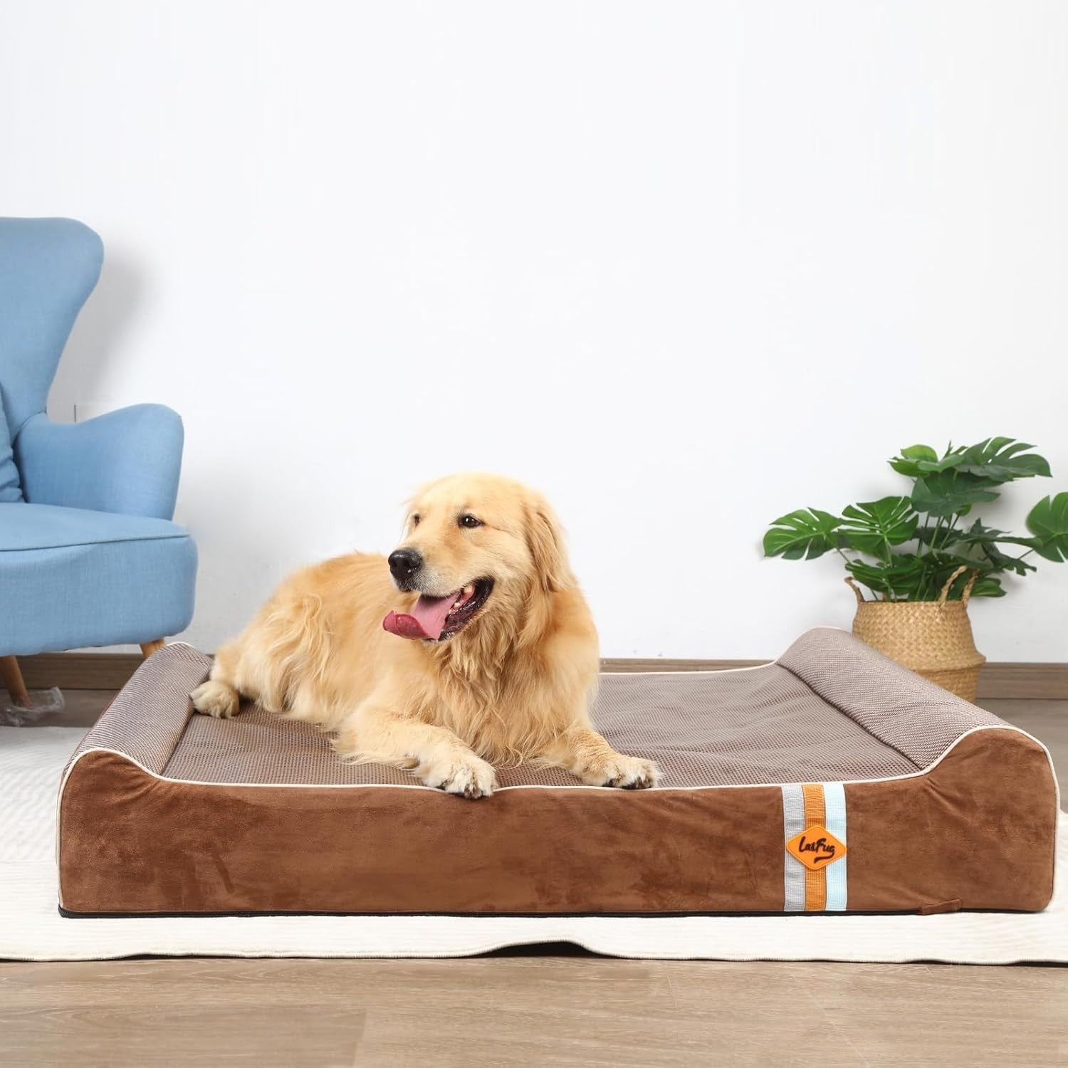 XL Orthopedic Memory Foam Dog Bed 50x36x10in Washable