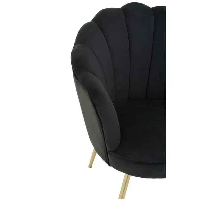 Black Velvet Shell Chair – Scalloped Accent Seat with Gold Metal Legs