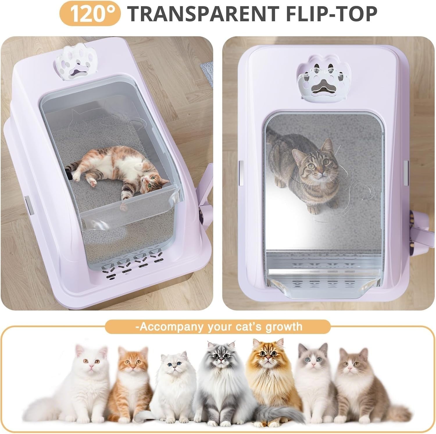XL Stainless Steel Cat Litter Box Clear Lid High Sided Pink Tray