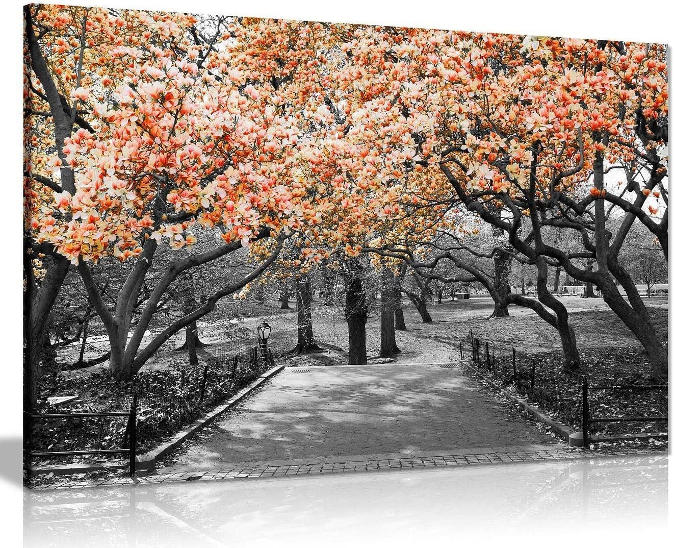 Black White Orange Blossom Canvas Wall Art Modern Floral Home Decor Print