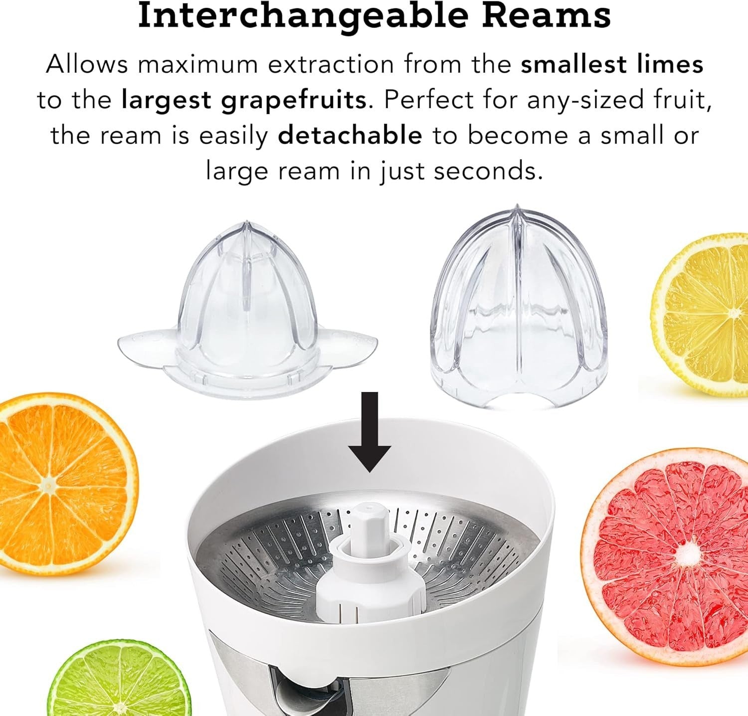 Electric Citrus Juicer Quiet Powerful Motor Drip Free Easy Clean 0.6L