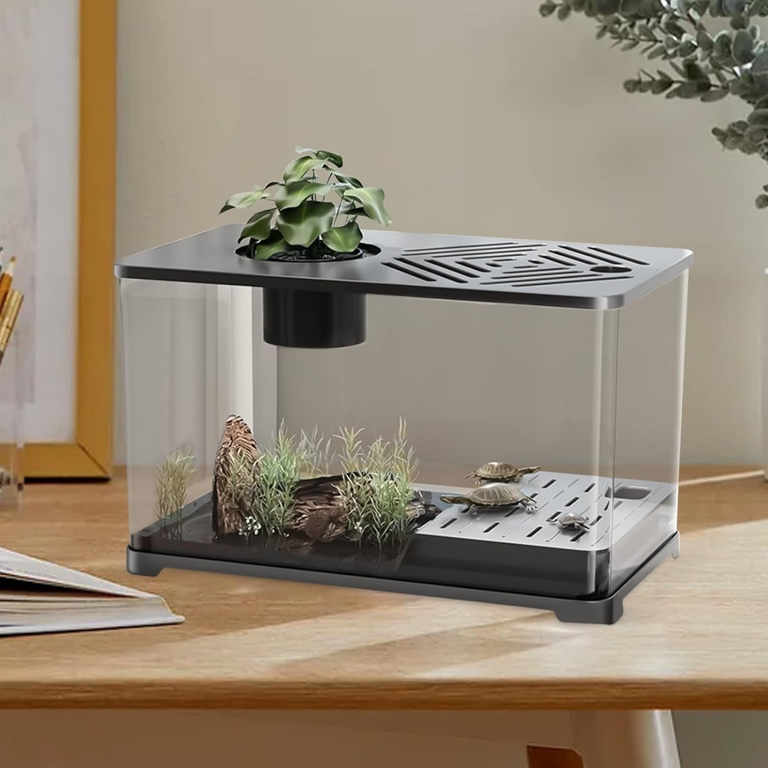 Large Desktop Aquarium for Betta, Turtle Sunbathing & Shrimp Tank