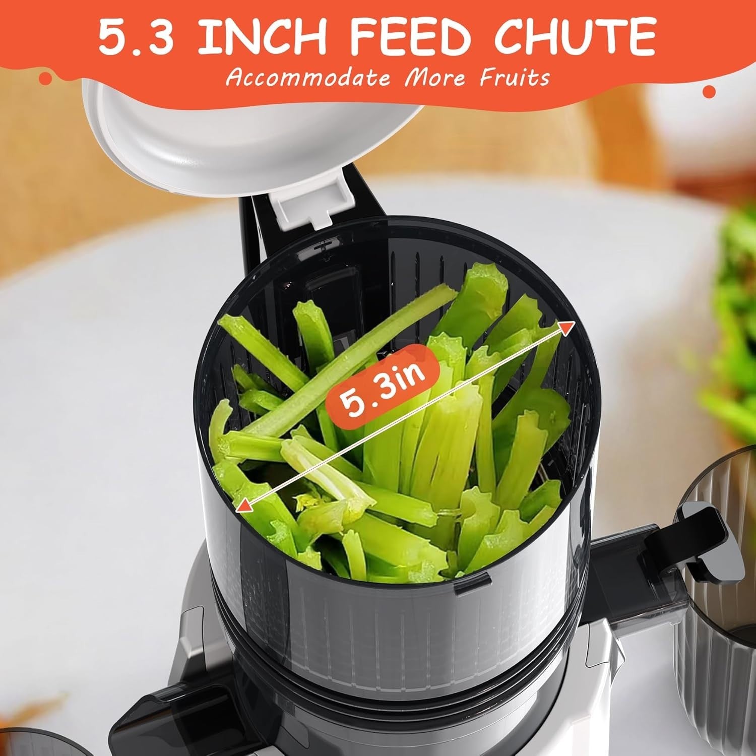 Cold Press Juicer 135mm Whole Fruit Chute Slow Masticating 300W White