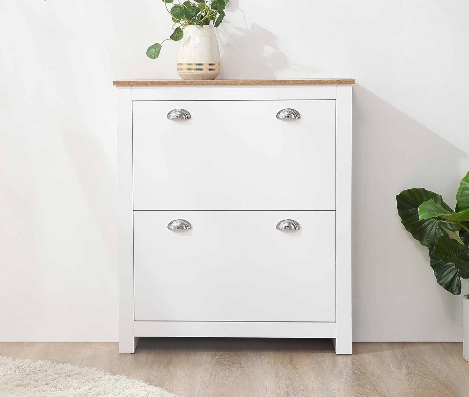 2-Drawer Narrow Shoe Cabinet with Flip Doors & Adjustable Shelves White