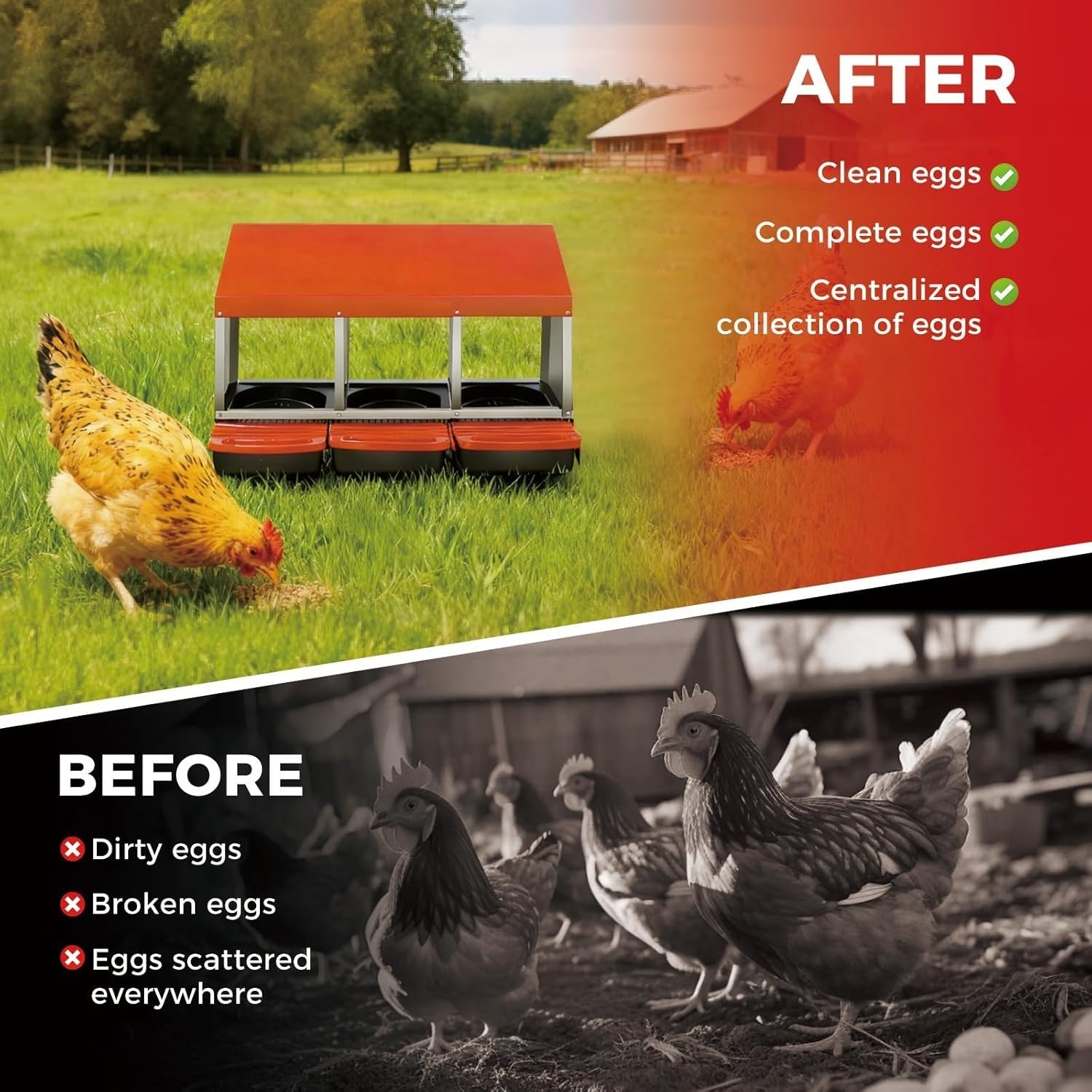 3 Chamber Galvanised Steel Chicken Nest Box Pull-Out Tray