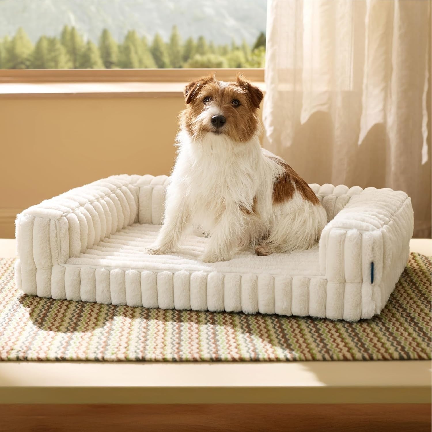 Medium Orthopedic Dog Sofa Bed 76x51x16cm Waterproof Memory Foam